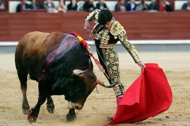 El extremeño José Garrido con su primer toro durante el séptimo festejo de San Isidro. :: efe