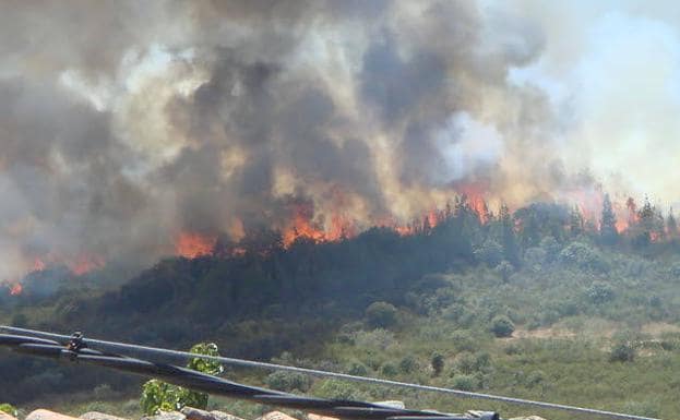 El riesgo alto de incendio comienza el 1 de junio en Extremadura