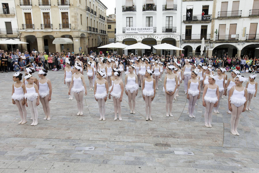 Fotos: Clausura del X Festival de las Aves de Cáceres