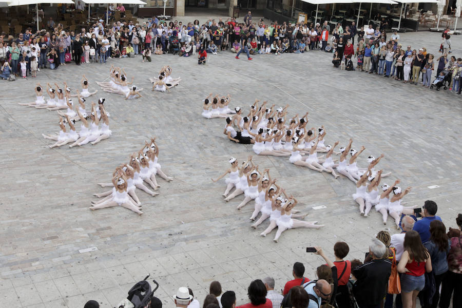 Fotos: Clausura del X Festival de las Aves de Cáceres