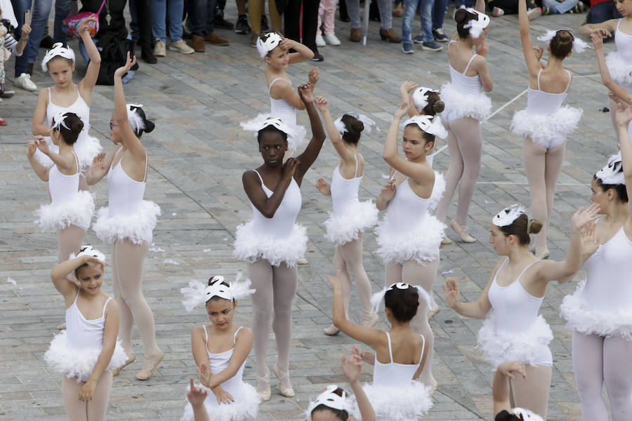Fotos: Clausura del X Festival de las Aves de Cáceres