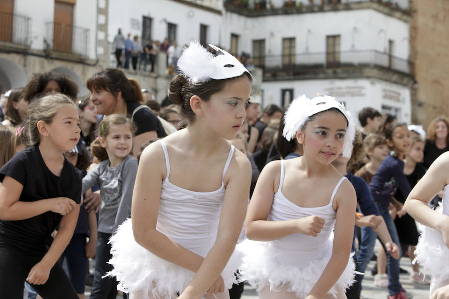 Fotos: Clausura del X Festival de las Aves de Cáceres