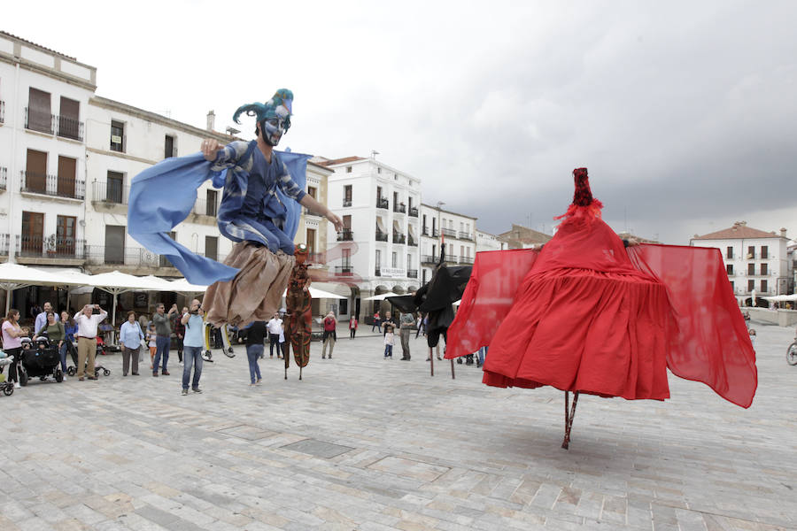 Fotos: Clausura del X Festival de las Aves de Cáceres