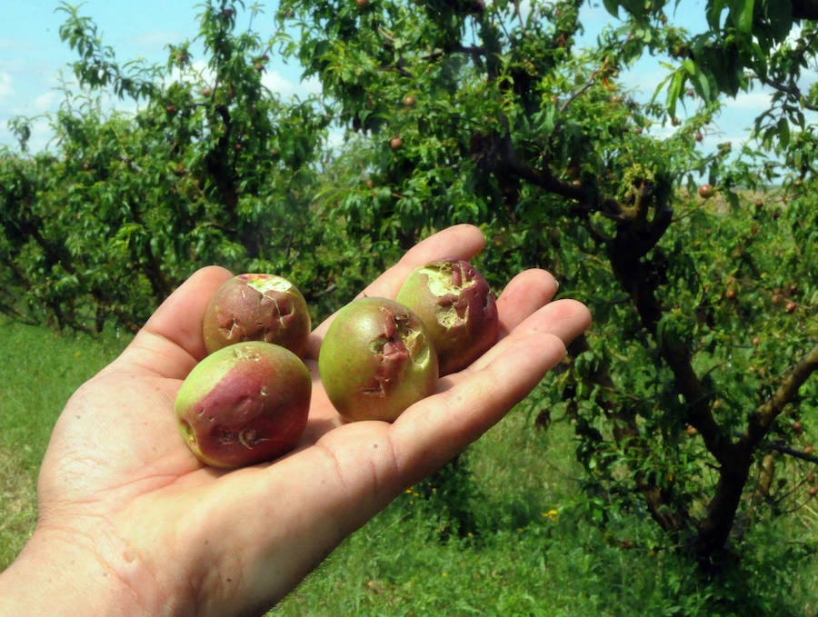 Daños en Arroyo de San Serván.