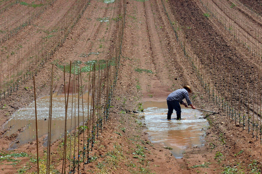 Daños en Arroyo de San Serván.