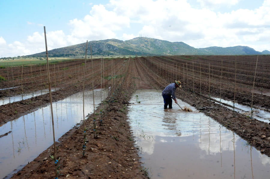 Daños en Arroyo de San Serván.