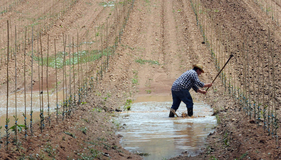 Daños en Arroyo de San Serván.