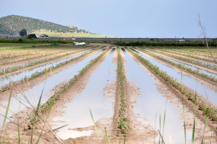 Daños en Santa Amalia.