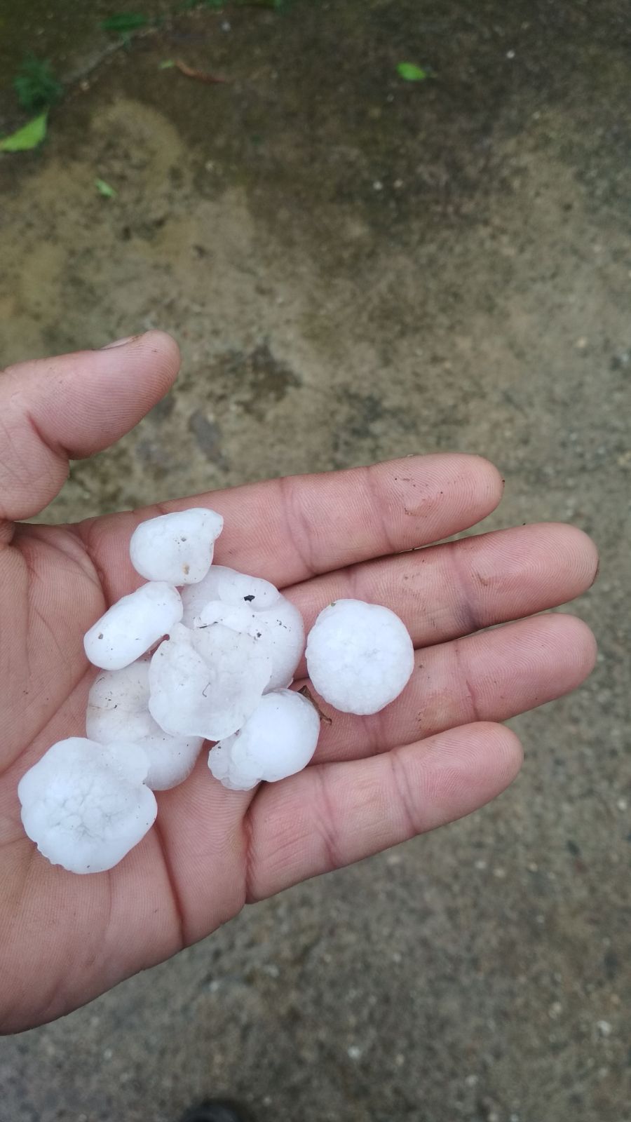 Por segunda semana consecutiva este fenómeno meteorológico vuelve a provocar pérdidas en algunas explotaciones agrarias