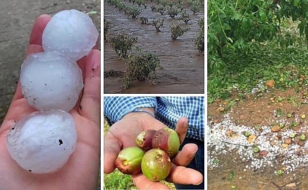 Efectos de las tormentas y el pedrisco en distintos puntos de Extremadura:: HOY