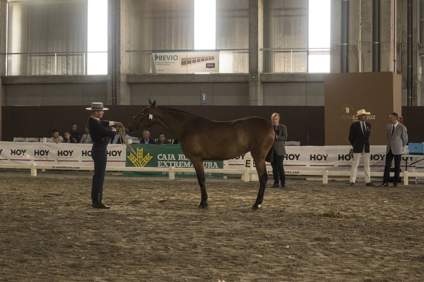 La Feria del Caballo y del Toro de Extremadura (Ecuextre) ha arrancado con el acto de homenaje a Juan Antonio Ruiz 'Espartaco', que es el protagonista de esta décima edición, la cual incluye una muestra del torero de Espartinas que exhibe distintos objetivos vinculados con su trayectoria.