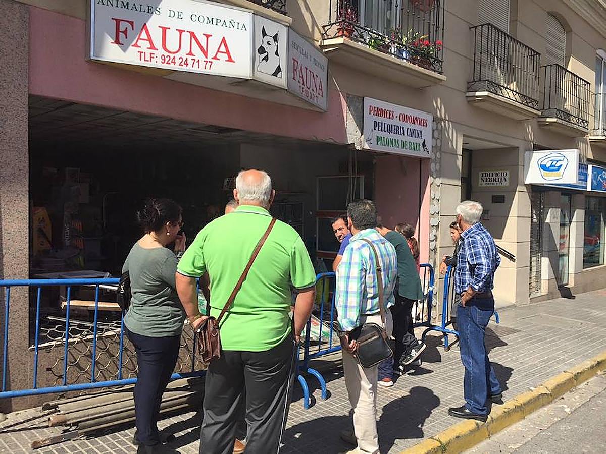 Fotos: Un coche se empotra contra una tienda de animales en San Roque