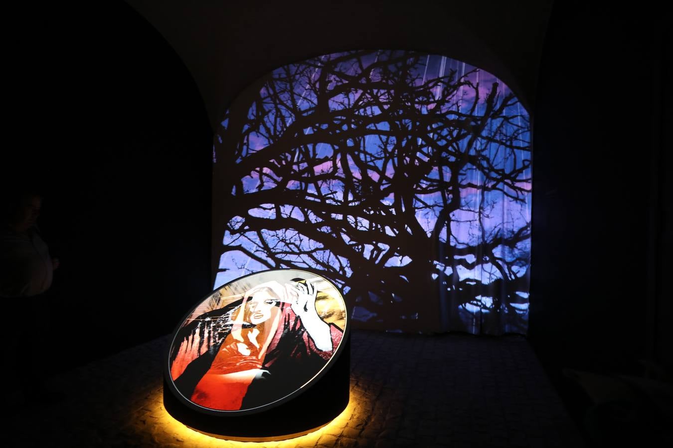 Las visitas, en grupos de 25 personas, serán por la mañana y por la tarde, gratuitas para los emeritenses y costará tres euros para los turistas