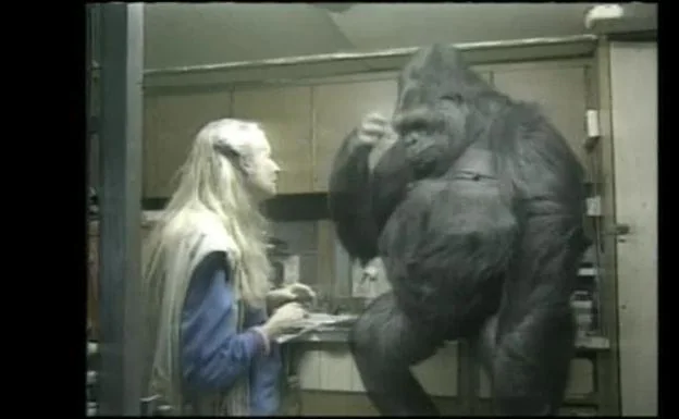 Muere Koko, la gorila que aprendió a usar la lengua de signos