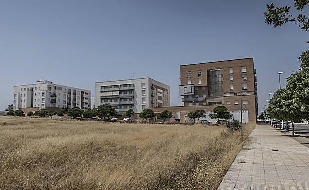 Solar en el Cuartón Cortijo. :: PAKOPÍ