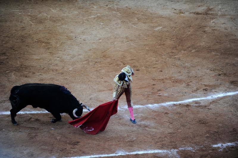 Dos faenas bellísimas del torero de Galapagar, exquisito con el capote, y tarde desatada de Miguel Ángel, que provoca el indulto de un nobilísimo toro de Jnadilla en Algeciras