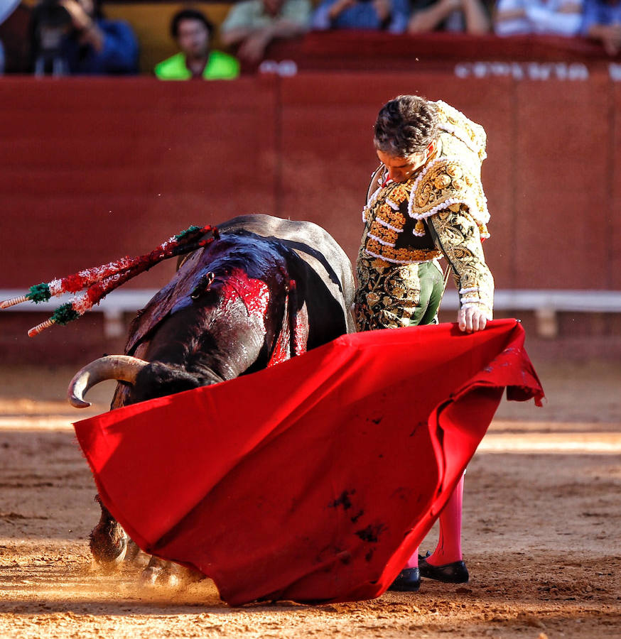 Dos faenas bellísimas del torero de Galapagar, exquisito con el capote, y tarde desatada de Miguel Ángel, que provoca el indulto de un nobilísimo toro de Jnadilla en Algeciras