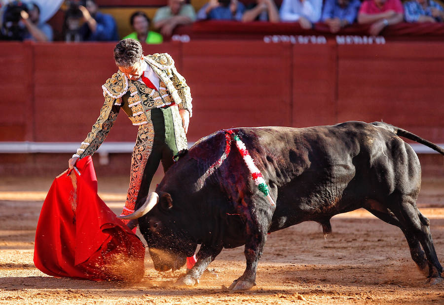 Dos faenas bellísimas del torero de Galapagar, exquisito con el capote, y tarde desatada de Miguel Ángel, que provoca el indulto de un nobilísimo toro de Jnadilla en Algeciras