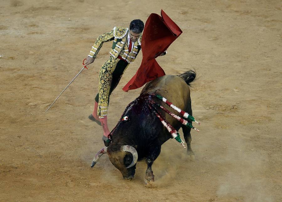 Dos faenas bellísimas del torero de Galapagar, exquisito con el capote, y tarde desatada de Miguel Ángel, que provoca el indulto de un nobilísimo toro de Jnadilla en Algeciras