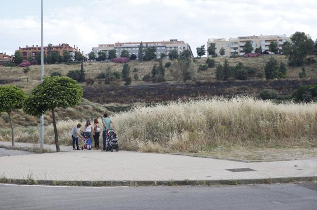 Parcela de pastos situada junto a una zona quemada, con el residencial Infanta Isabel al fondo. :: a. méndez 