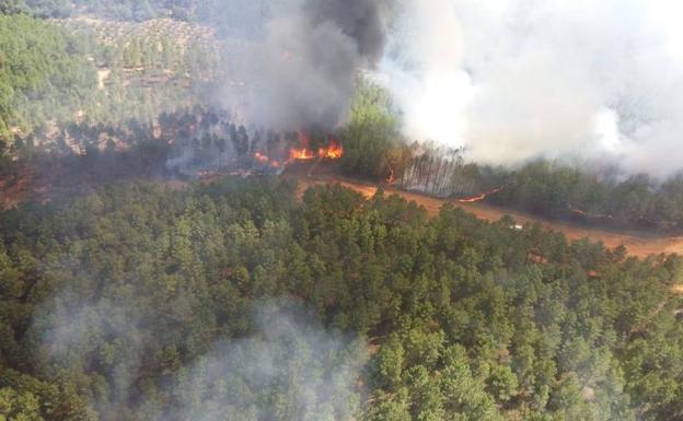 Imagen del fuego originado en la zona de pinar.