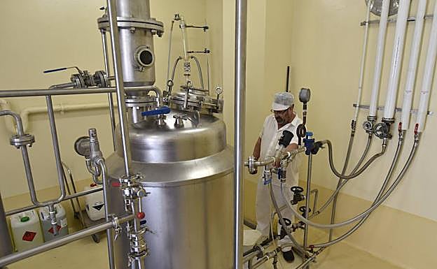 Máquinas procesadora para tratar los deshechos del tomate.