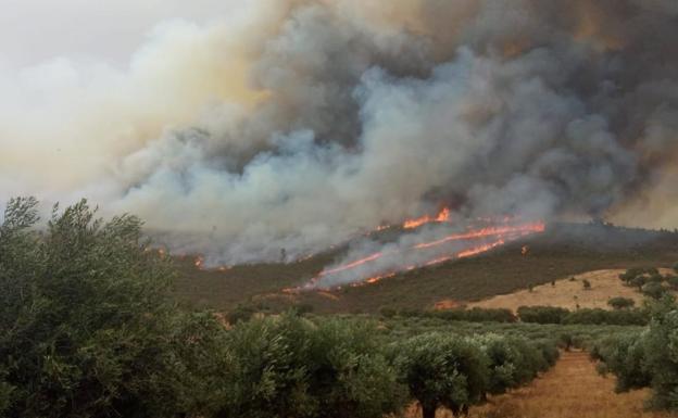 Imagen del incendio en San Vicente de Alcántara