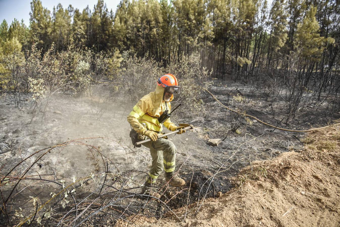 El fuego, el peor del verano en Extremadura, calcinó parte del Valle de Jola y quedó controlado ayer a última hora