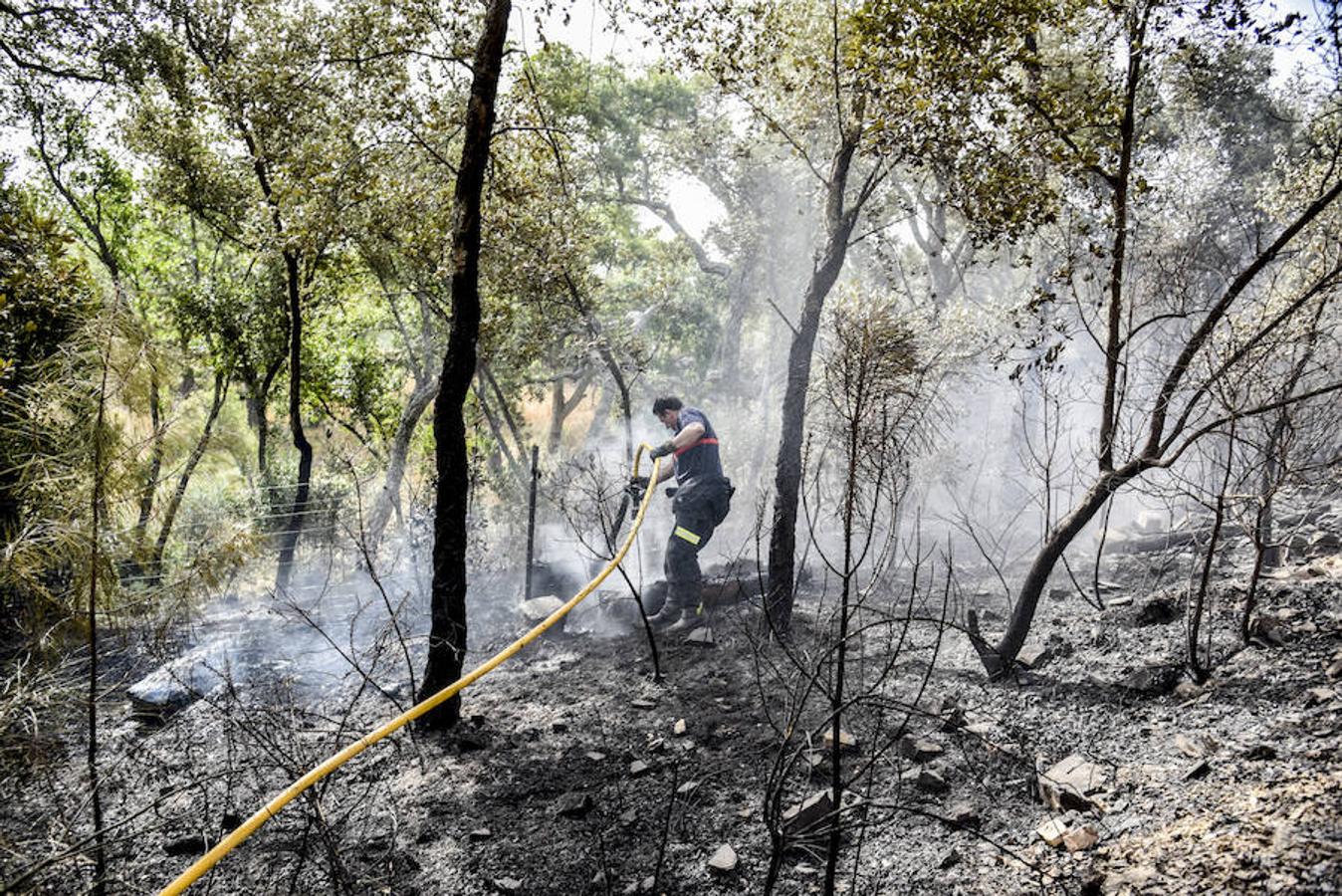 El fuego, el peor del verano en Extremadura, calcinó parte del Valle de Jola y quedó controlado ayer a última hora