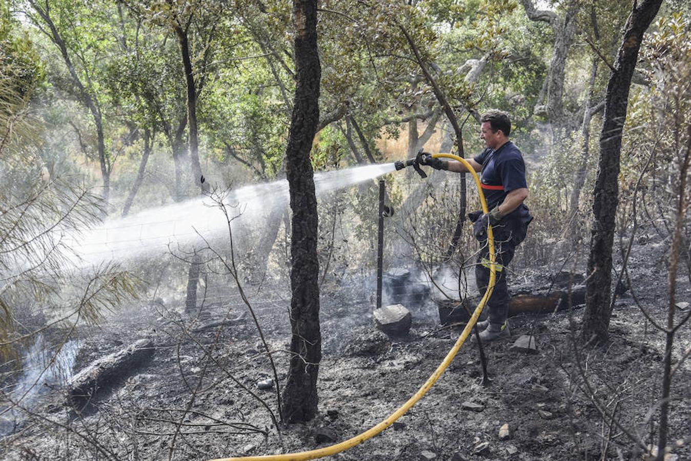 El fuego, el peor del verano en Extremadura, calcinó parte del Valle de Jola y quedó controlado ayer a última hora