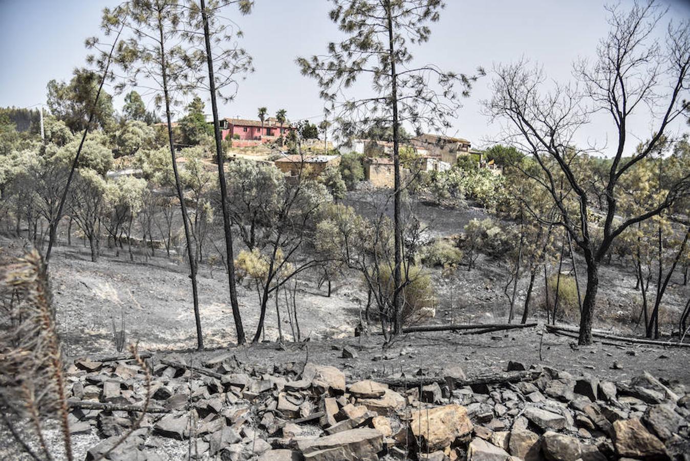 El fuego, el peor del verano en Extremadura, calcinó parte del Valle de Jola y quedó controlado ayer a última hora