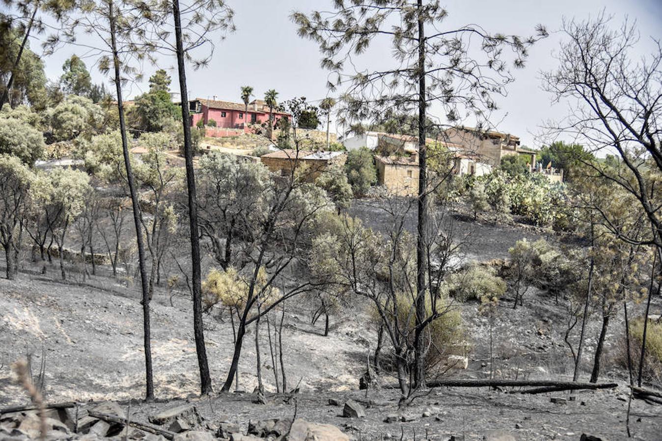 El fuego, el peor del verano en Extremadura, calcinó parte del Valle de Jola y quedó controlado ayer a última hora