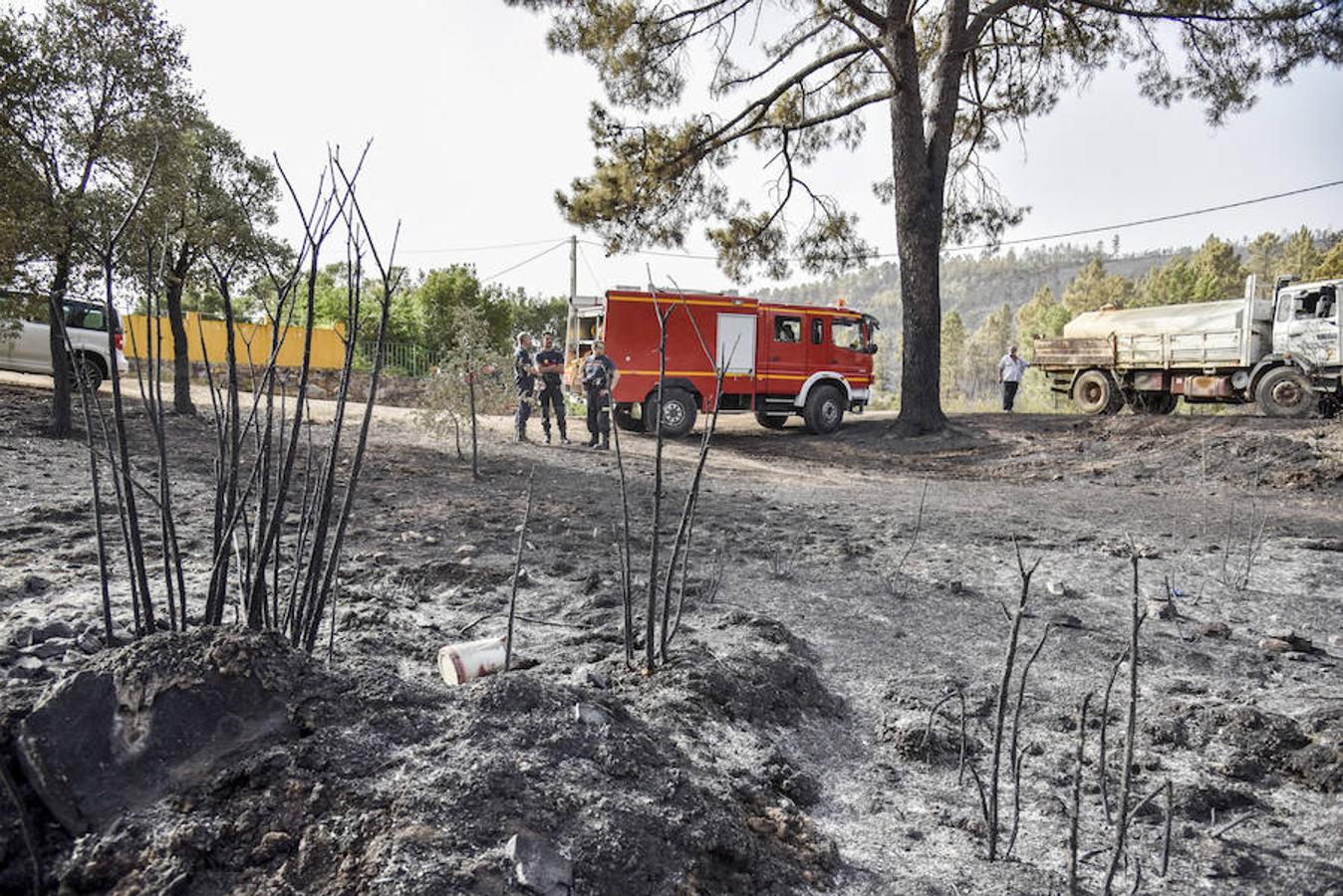 El fuego, el peor del verano en Extremadura, calcinó parte del Valle de Jola y quedó controlado ayer a última hora