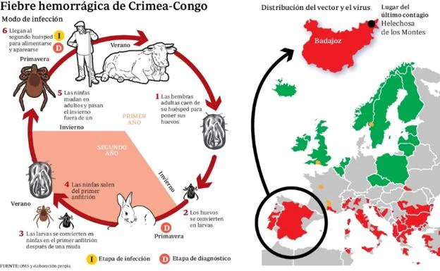 Medidas de los sanitarios; ¿cuáles son las adecuadas? - Avila Dos