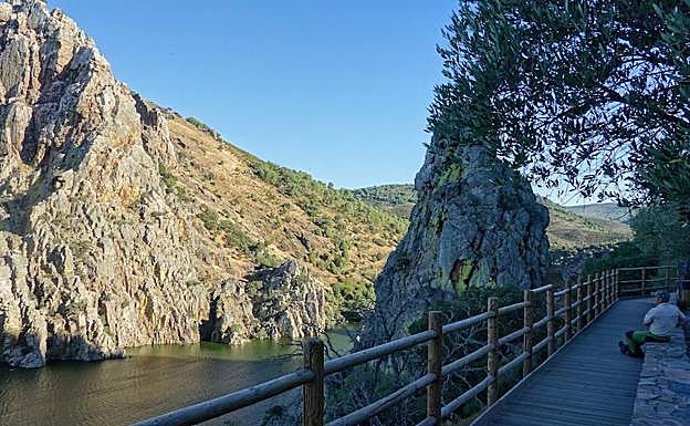 Mirador sobre el Tajo en el parque de Monfragüe.