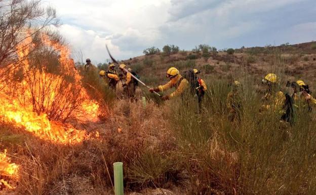 El incendio que se originó el martes en el entorno del municipio cacereño de Mata de Alcántara está estabilizado y evoluciona favorablemente.