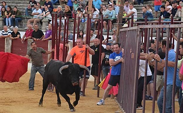 Las Capeas en una edición anterior