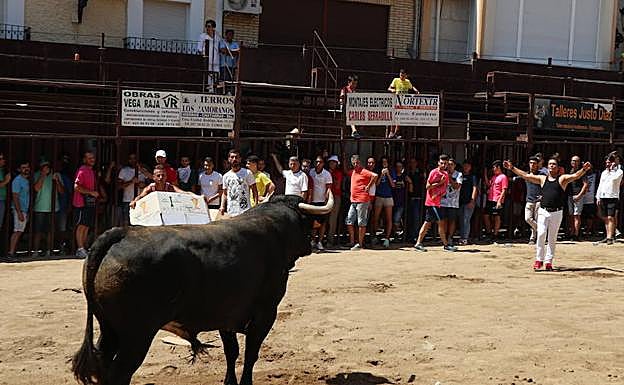 Capea el domingo pasado en la plaza de la localidad cacereña de Torrejoncillo. :: JLG