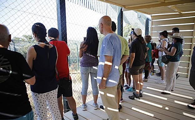 Visitantes del el Centro de Recuperación de Fauna y Educación Ambiental Los Hornos esperando para ver a los linces. :: a. m.