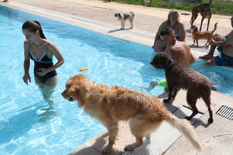 Esta iniciativa se ha desarrollado este sábado en la piscina de Nueva Ciudad