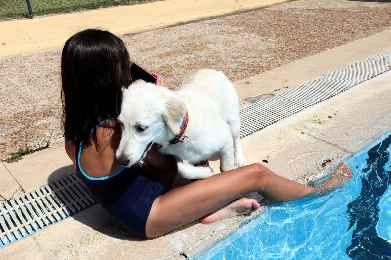 Esta iniciativa se ha desarrollado este sábado en la piscina de Nueva Ciudad