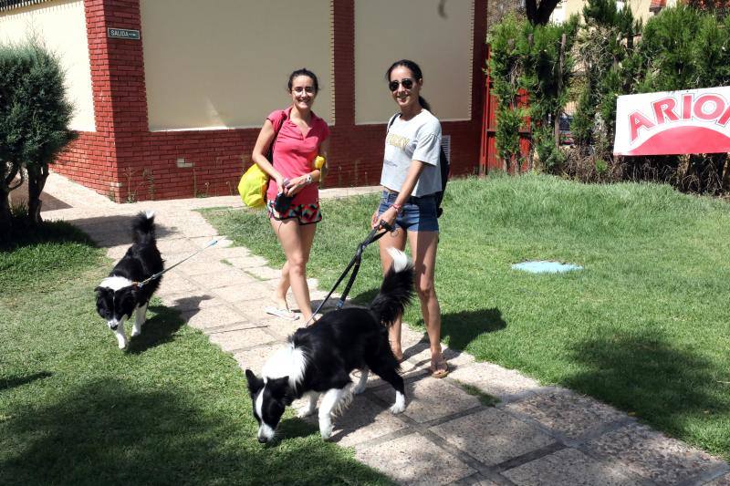 Esta iniciativa se ha desarrollado este sábado en la piscina de Nueva Ciudad