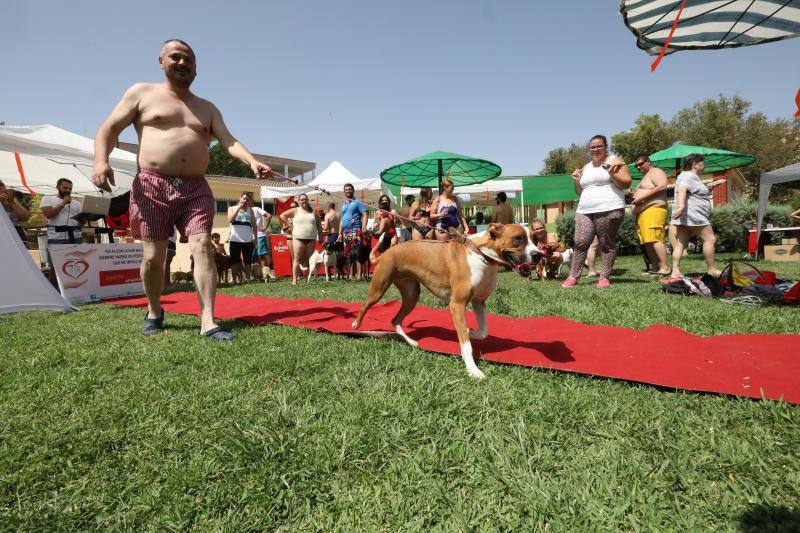 Esta iniciativa se ha desarrollado este sábado en la piscina de Nueva Ciudad