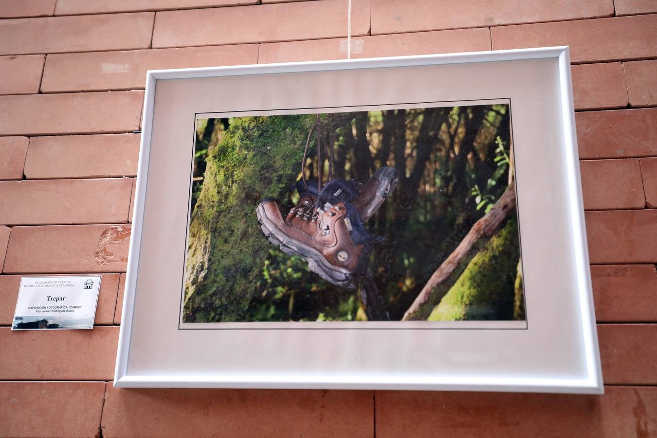 En el centro cultural Alcazaba de Mérida se puede visitar la exposición CAMINHO, del fotógrafo emeritense Francisco Javier Rodríguez. Es una colección 26 fotografías del Camino de Santiago, rutas y caminos. Hasta el 10 de septiembre se podrá disfrutar