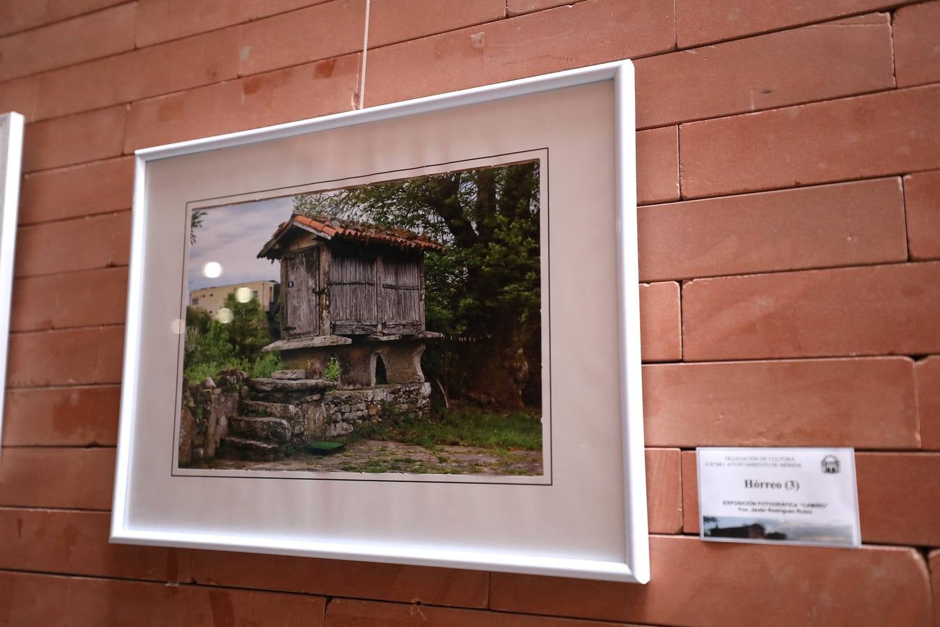 En el centro cultural Alcazaba de Mérida se puede visitar la exposición CAMINHO, del fotógrafo emeritense Francisco Javier Rodríguez. Es una colección 26 fotografías del Camino de Santiago, rutas y caminos. Hasta el 10 de septiembre se podrá disfrutar