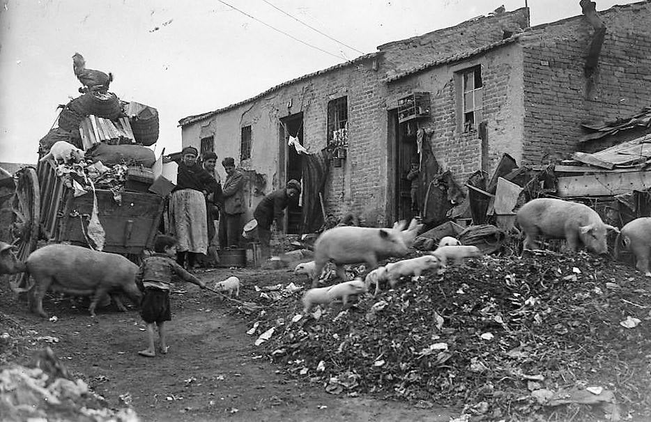 Un niño descalzo controla unos cerdos junto a la chabola. (Fotografía Juan Pando Barrero/Fototeca Nacional).