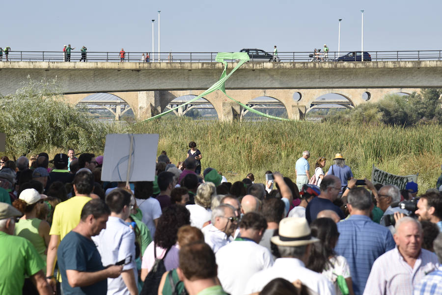 Desplegaron un gran lazo verde en el Puente de la Autonomía y anunciaron que realizarán concentraciones cada 15 días