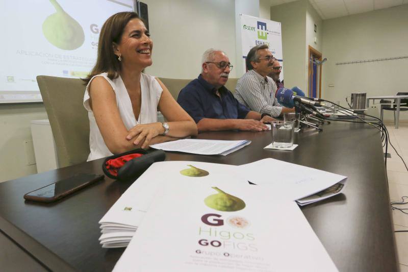 Carmen González, de Cicytex, Alberto Cruz, de Adismonta, y Antonio Cabezas, de la Junta:: J.M. ROMERO