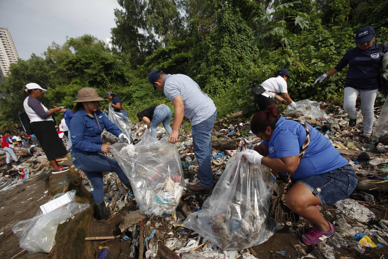 Miles de ciudadanos participaron en Panamá en una limpieza de playas con el objetivo de darle visibilidad al grave problema medioambiental de la contaminación de los océanos, y crear conciencia sobre la importancia de reducir el consumo de plásticos y hacer una buena disposición de los residuos. 