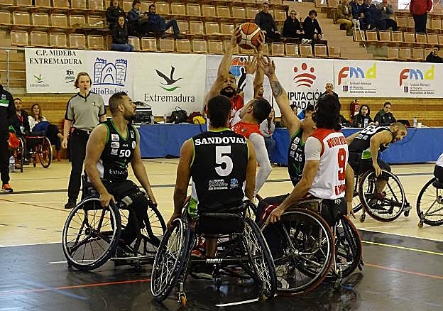 Mideba europeo en La Granadilla. 